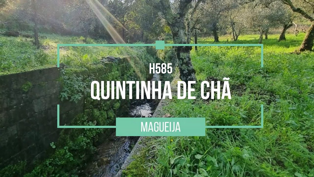 Vídeo do imóvel