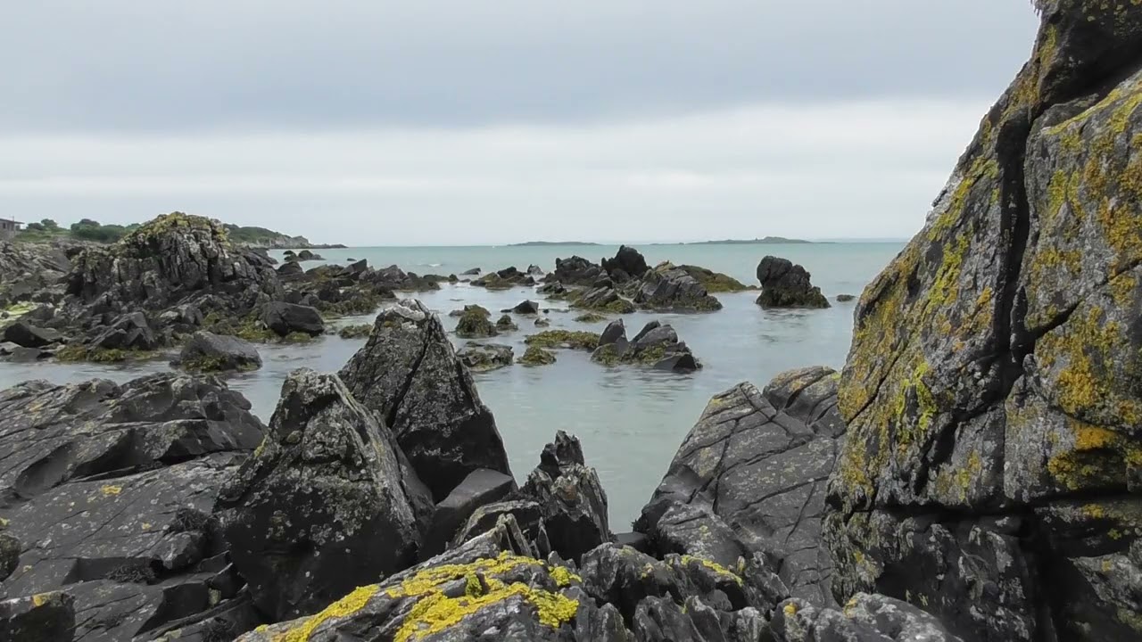 Sea Sounds