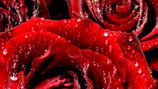 Pierre Bachelet   Partis avant d'avoir tout dit