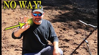 I Can't Believe What I Found Metal Detecting My Yard (Again!)