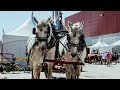 Calgary Stampede Draft Horse Town 2018