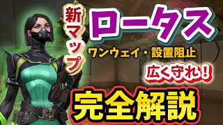 【VALORANT】驚異のワンウェイ！ヴァイパー防衛プリセット・設置阻止/ロータス【ヴァロラント】