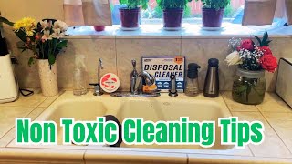 Non-Toxic Cleaning Products I Use to Clean My Kitchen Sink 🧼 #cleanwithme #nontoxiccleaning