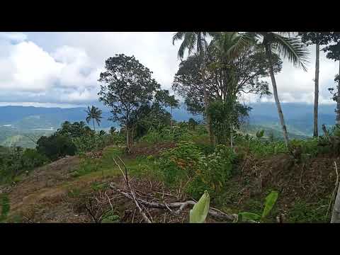 Navitas 360° The voice of the Nature