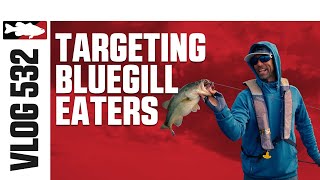 Targeting Bluegill Eaters on Manasquan with Ike