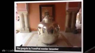 preview picture of video 'Monkey antics in the Pink City Benamber's photos around Jaipur, India (pink city home stay)'