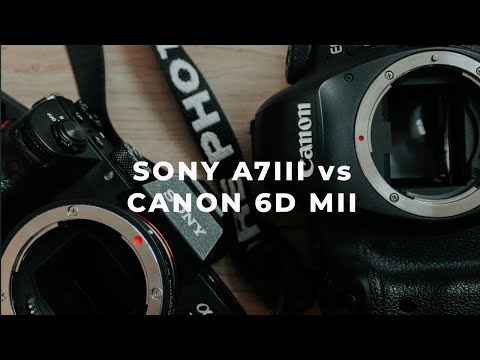 SONY VS CANON Comparison (Canon 6D Mark II vs Sony a7iii with MC-11 Adapter)