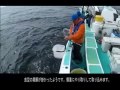 宇佐美の釣り船 宇佐美の釣り船