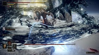 【ELDEN RING】BOSS 死儀礼の鳥戦