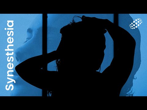 OBWN - Story (Official Audio) Synesthesia 'Last Winter'