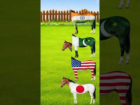 Horses Head Matching #shorts