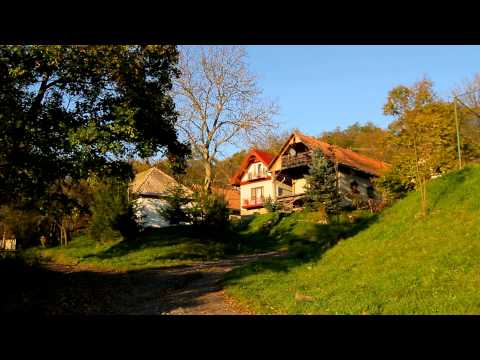 1. fotografia fotogalérie Videogaléria