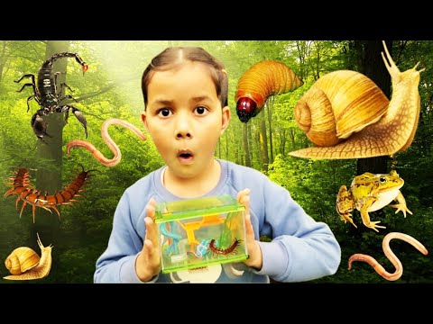 BUG HUNT for REAL BUGS! Millipedes, Bull Ants, Scorpions, Worms With Zoe and Daddy!