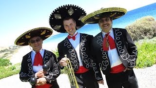 The Mexican Mariachi Band with Trumpet