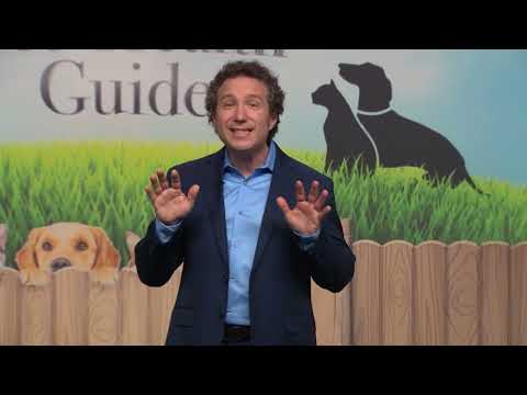 The Ultimate Pet Health Guide - Preview