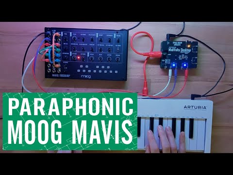 MidiVolts Desktop | Moog Mavis