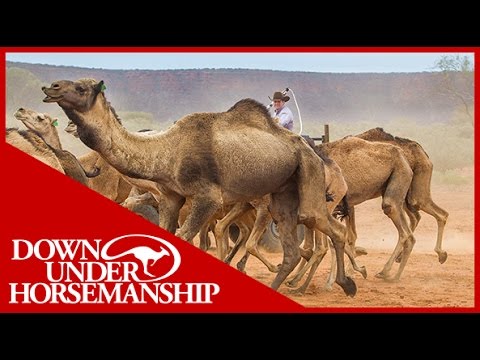 Clinton Anderson - Outback Adventure 6 of 14