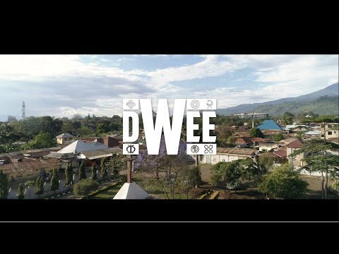 Dwee - Njoo Afrika (Official video)