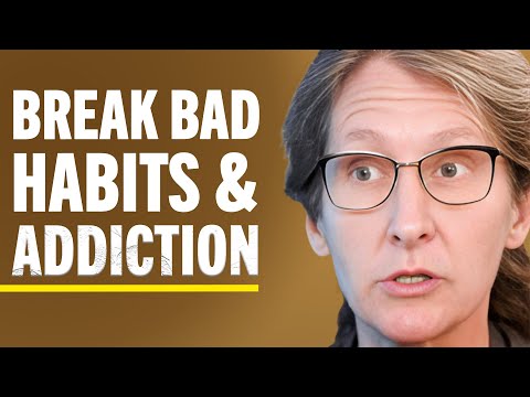 How To Use DOPAMINE As A Superpower To TREAT ADDICTION! | Anna Lembke