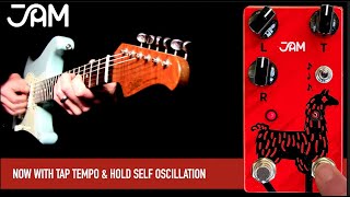 Video thumbnail for Jam Pedals Delay Llama mk.3 by Mike Hermans