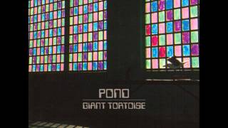 Pond - Giant Tortoise