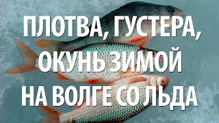 Рыбалка зимой на нижней волге