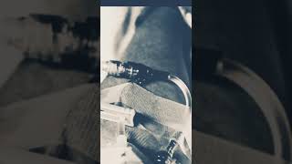 Leaves in the River - Sea Wolf (Cover)