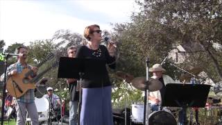 Peter Sprague's Christmas Eve Concert 2014 Set One Highlights