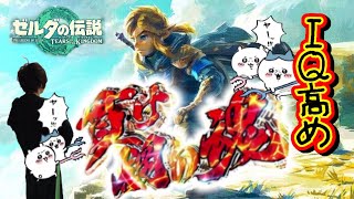ティアーズ オブ ザ キングダム　5日目　ゲルドやる