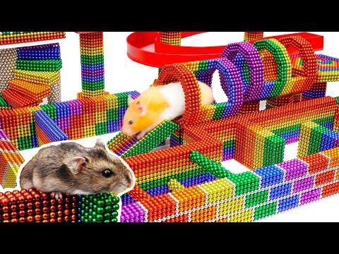 , title : 'DIY - Build Fantastic Maze For Hamsters Pet From Magnetic Balls (Satisfying) - Magnet Balls'