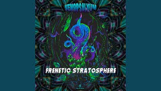 Psychedelic Experience