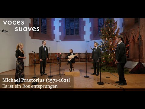 Es ist ein Ros entsprungen