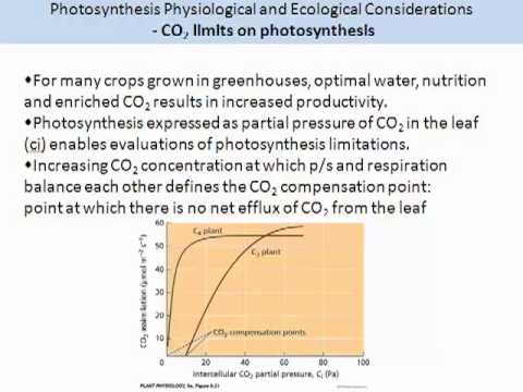 BVW214 video T7 L8 P2