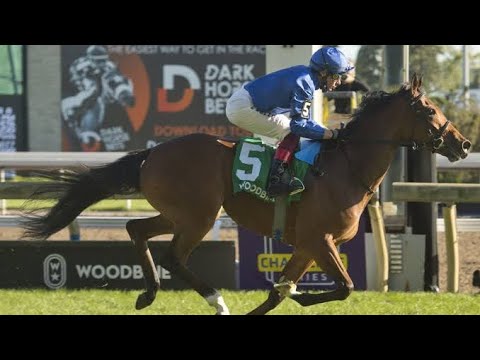 2021 NATALMA STAKES (G1) | WILD BEAUTY - GODOLPHIN | WOODBINE, CANADA 🇨🇦 |