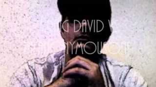 Craig David vs TheAnonymousOne -  Mad Flavour (Whats Your Flavour Remix)