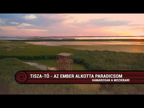 Tisza-tó, az ember alkotta paradicsom - Közönségtalálkozó (Allee) - Filmünnep trailer