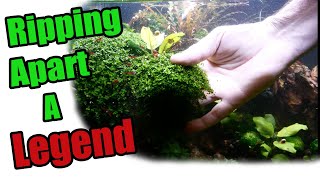 Working Rescape! What? | Rescaping Dragon Valley 1.0.