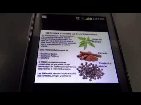 Remedios caseros contra la chikungunya podrían poner en riesgo la salud