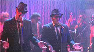 Stand By Your Man -The Blues Brothers