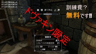【Skyrim】スカイリム　無料訓練所
