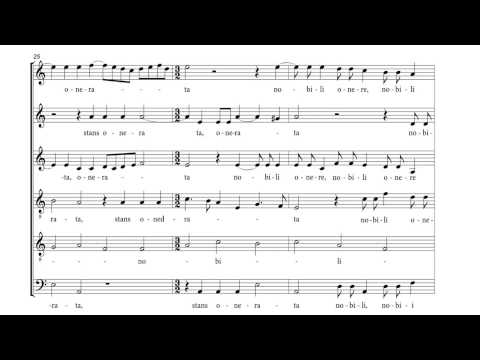 Thomas Tallis (1505 - 1585): Videte miraculum - Vokalensemble SolaVoce