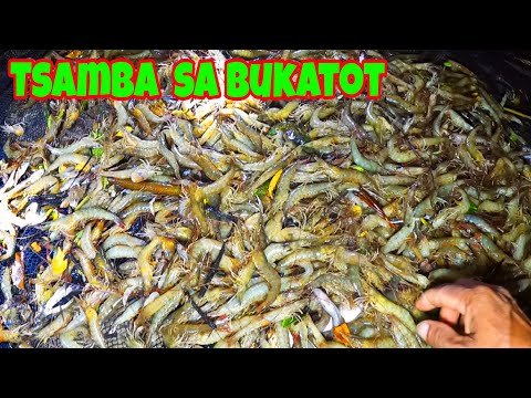 Napakaraming Hipon Nahuli sa Bukatot Part 1