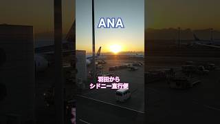 【快適】ANA羽田からシドニー直行便、空の旅