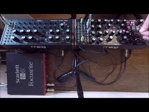 Moog DFAM + Subharmonicon - Sly Cats - live