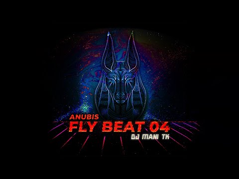 Dj Mani Tk - Fly Beat 04