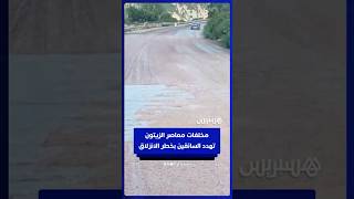مخلفات معاصر الزيتون تهدد سلامة السائقين بخطر الانزلاق بين شفشاون ووزان thumbnail