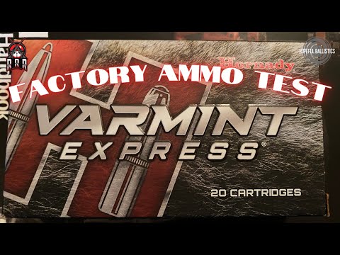 Testing Hornady Varmint Express Factory Ammo!