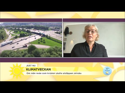 Till alla män: "Kör som kvinnor så minskar utsläppen" - Nyhetsmorgon (TV4)