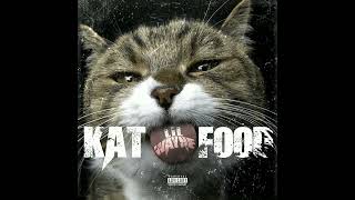 Kat Food Instrumental - Lil Wayne