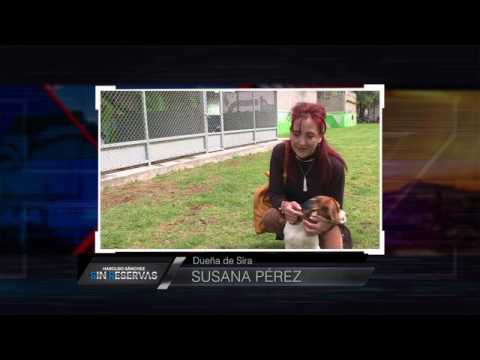 Lo Destacado, Sin Reservas_Guatevision